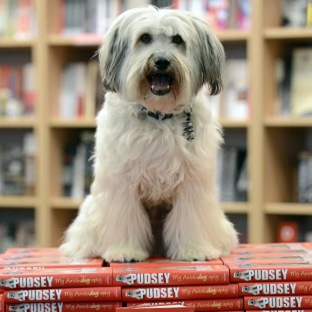 Britain's Got Talent winning dog Pudsey will perform at the NTAs