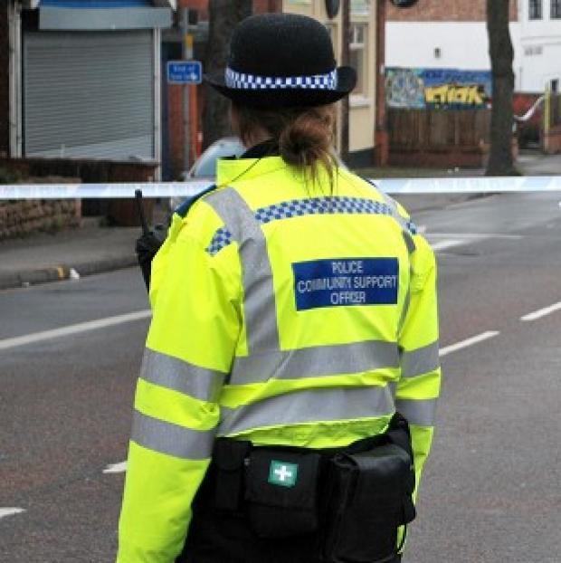 A teenager has been stabbed to death in the Pimlico area of London, police said