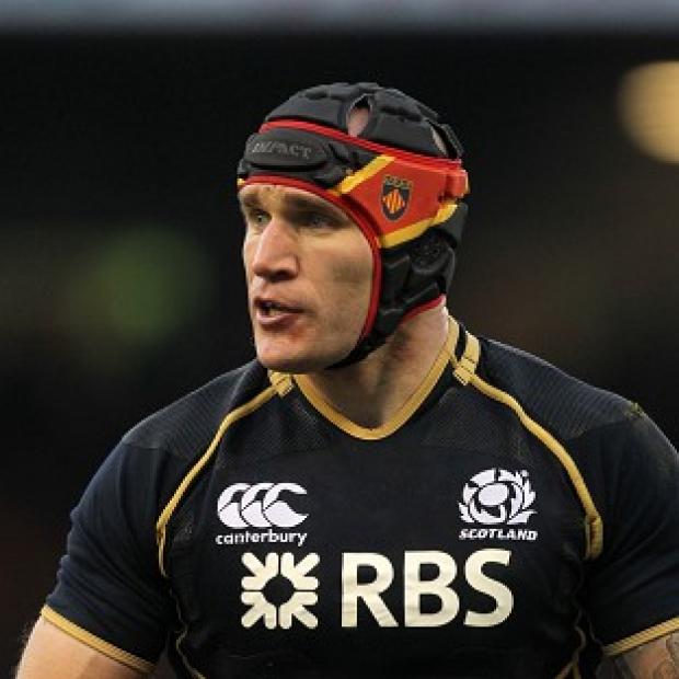 Alasdair Strokosch could miss the rest of the Six Nations