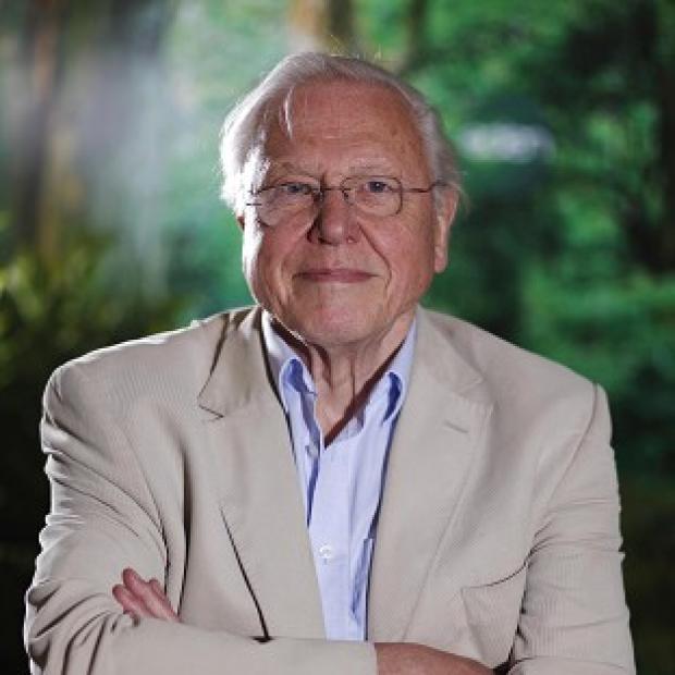 National treasure Sir David Attenborough has made his debut on Twitter