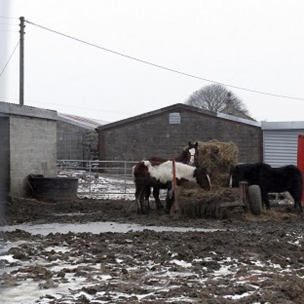 Peter Boddy slaughterhouse in Todmorden had records seized and was temporarily shut down