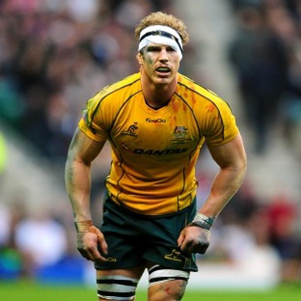 David Pocock is set for surgery and will not face the Lions