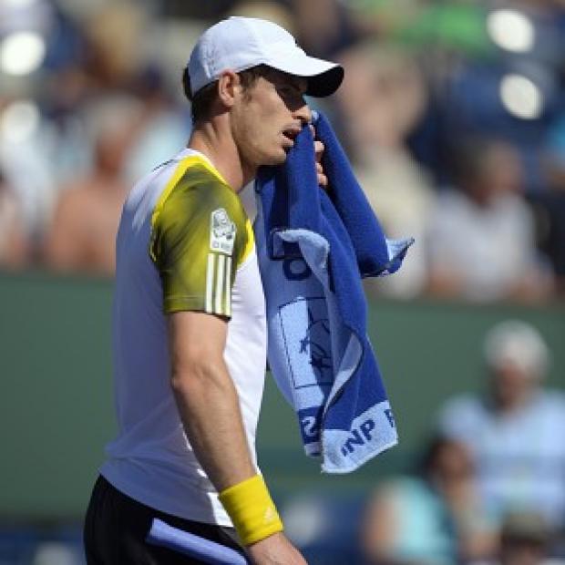 Andy Murray was made to work hard for victory in Indian Wells (AP)