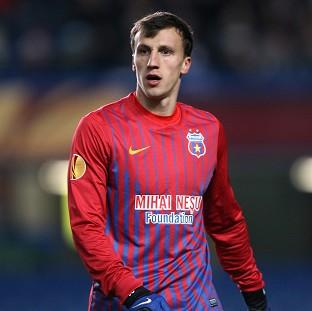 Vlad Chiriches, pictured, became Tottenham's fifth signing on Friday morning before Erik Lamela was confirmed as well