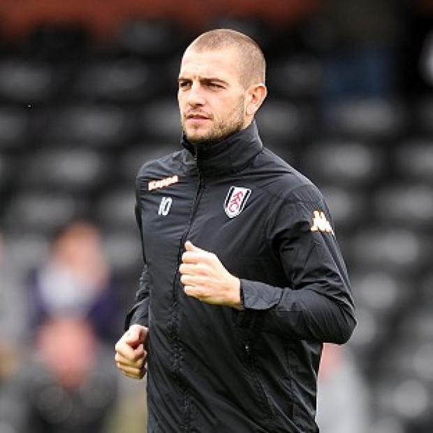 Mladen Petric has been brought in to bolster West Ham's attacking options