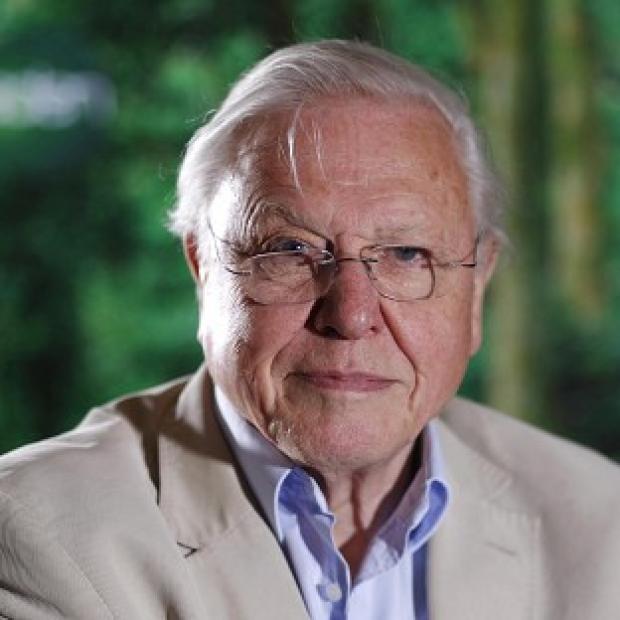 Sir David Attenborough said the BBC was 'going through a bad patch'