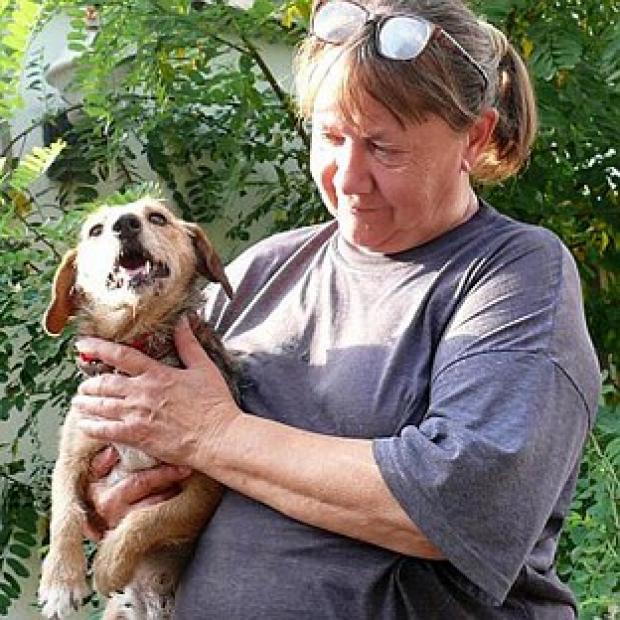 An inquest is to be held into the death of Eva Rhodes in Hungary