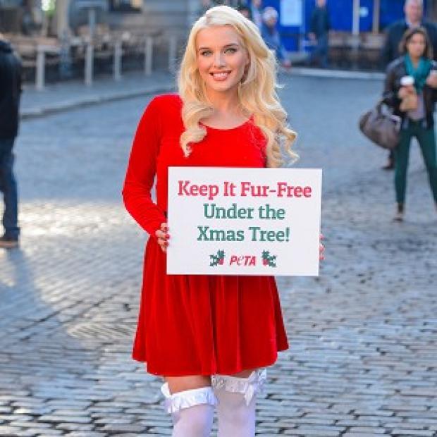 Congleton Guardian: Helen Flanagan is backing the charity Peta and calling on shoppers to avoid buying fur products as Christmas presents Congleton Guardian: Helen Flanagan is backing the charity Peta and calling on shoppers to avoid buying fur products as Christmas presents