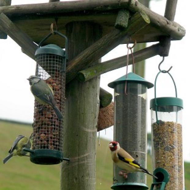 Congleton Guardian: One manager called for a "bird table discussion" Congleton Guardian: One manager called for a "bird table discussion"