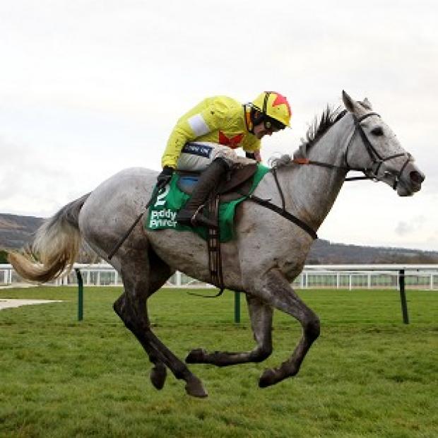 Congleton Guardian: Al Ferof is set to race in the Ryanair Chase on Thursday Congleton Guardian: Al Ferof is set to race in the Ryanair Chase on Thursday