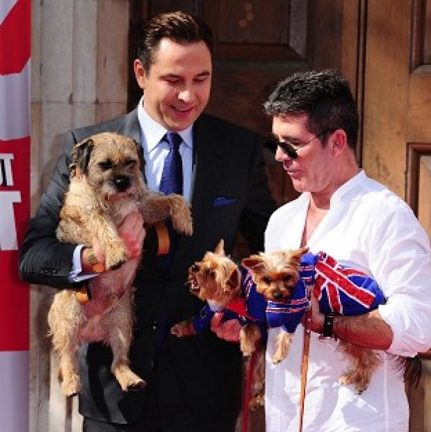 Congleton Guardian: Simon Cowell and David Walliams took their dogs to the Britain's Got Talent launch Congleton Guardian: Simon Cowell and David Walliams took their dogs to the Britain's Got Talent launch