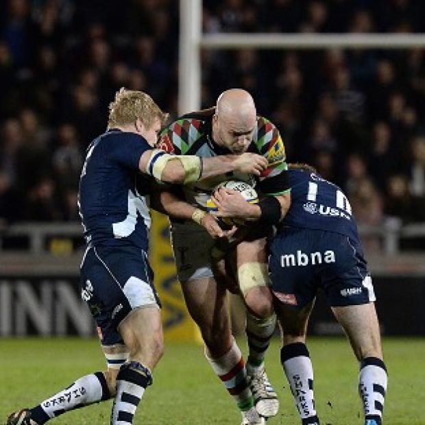Congleton Guardian: Director of rugby Conor O'Shea is bracing his Harlequins side for a fight to the end Congleton Guardian: Director of rugby Conor O'Shea is bracing his Harlequins side for a fight to the end