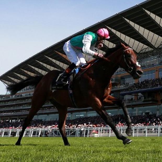 Congleton Guardian: Kingman, pictured, finished ahead of old rival Night Of Thunder at Royal Ascot Congleton Guardian: Kingman, pictured, finished ahead of old rival Night Of Thunder at Royal Ascot