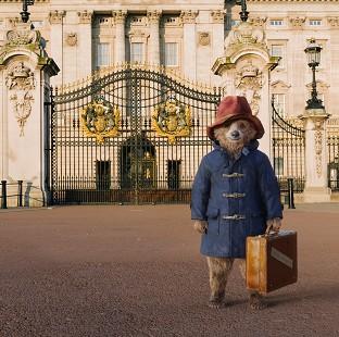 Congleton Guardian: Paddington the movie star from darkest Peru - but without the voice of Colin Firth Congleton Guardian: Paddington the movie star from darkest Peru - but without the voice of Colin Firth