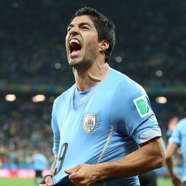 Congleton Guardian: Luis Suarez, pictured, faces a lengthy ban if found guilty of biting Giorgio Chiellini Congleton Guardian: Luis Suarez, pictured, faces a lengthy ban if found guilty of biting Giorgio Chiellini