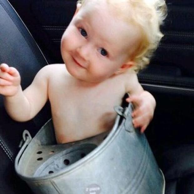 Congleton Guardian: Minnie Snodgrass got stuck in a mop bucket (South Yorkshire Fire & Rescue/PA) Congleton Guardian: Minnie Snodgrass got stuck in a mop bucket (South Yorkshire Fire & Rescue/PA)