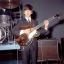 Congleton Guardian: George Harrison's tree suffered an insect infestation Congleton Guardian: George Harrison's tree suffered an insect infestation