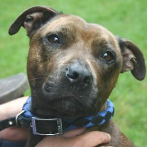 Olive was tied to a tree and abandoned as she went into labour